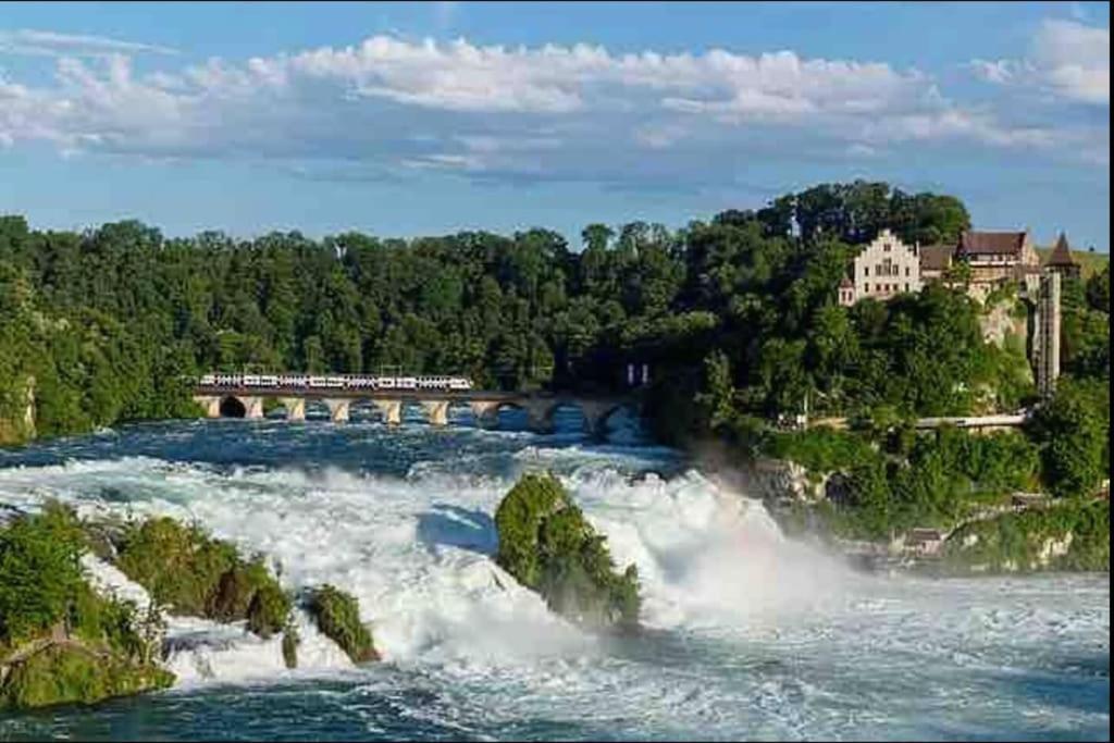 Modern Holiday Home Near Rheinfall And Black Forest Weisweil  Dış mekan fotoğraf